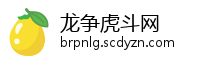 龙争虎斗网